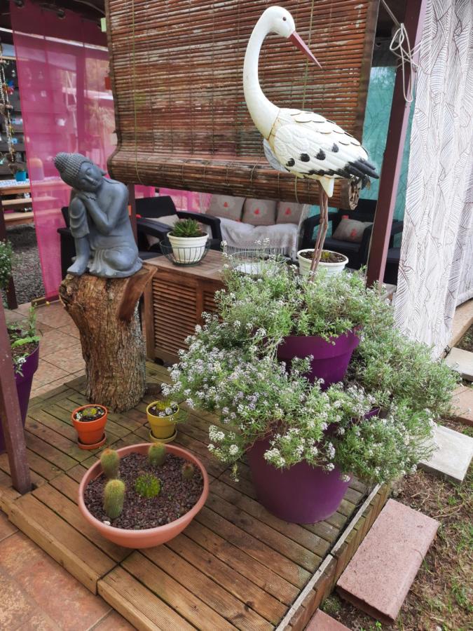Chambres Et Table D'Hote Les Hortensias La Plaine des Cafres Εξωτερικό φωτογραφία