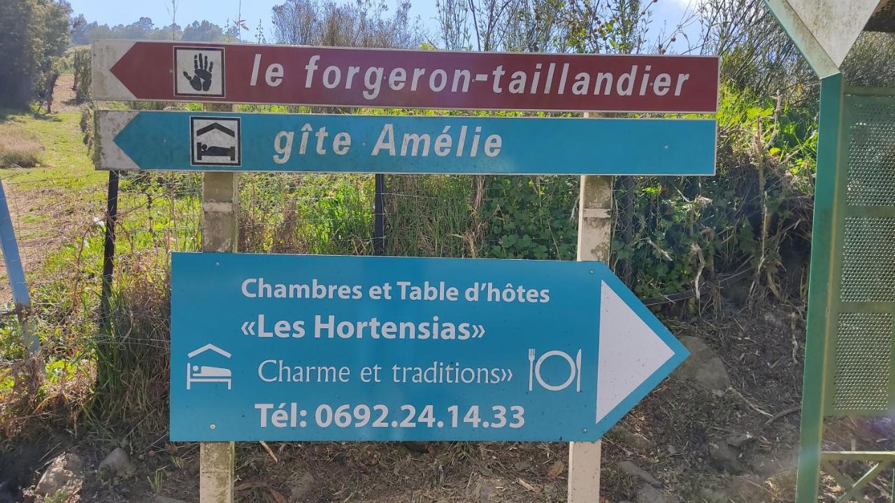 Chambres Et Table D'Hote Les Hortensias La Plaine des Cafres Εξωτερικό φωτογραφία